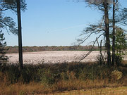 m2005-1172.jpg