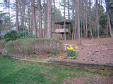 m2005-0313.JPG