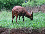 m2005-0651.JPG