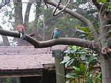 m2005-0662.JPG